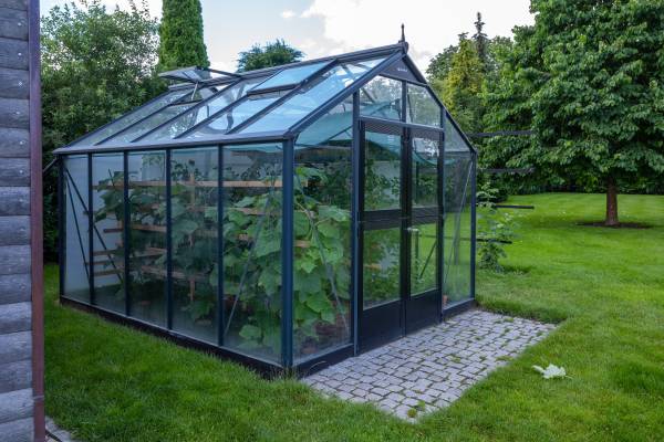 How To Build a Tiny Greenhouse