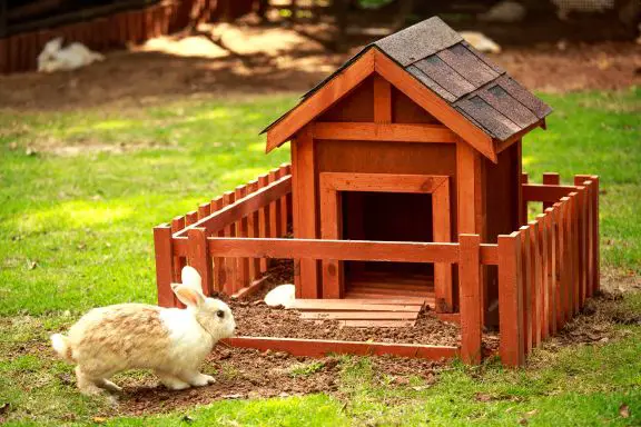 DIY House For Rabbit