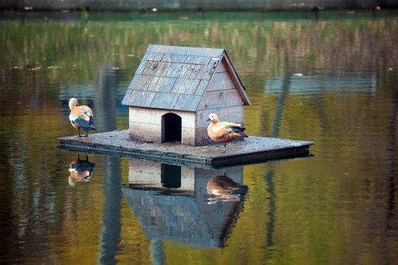 DIY House For Ducks