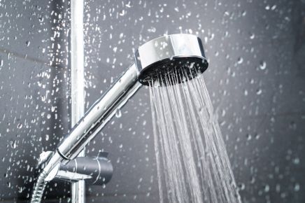 Best Shower Heads For Well Water